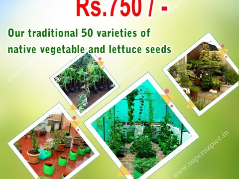 Organic Greens And Vegetables Seeds 4000 nos. Combo offer 50 Variety. 